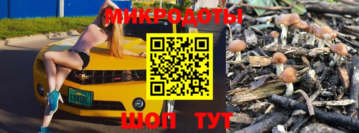 Чайковский  Псилоцибиновые грибы MAGIC MUSHROOMS  Галлюциногенные грибы GOLDEN TEACHER  Вход с VPN 